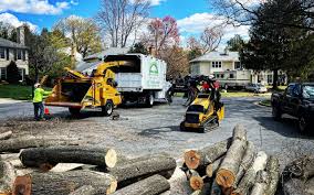 Best Pest Control for Lawns  in Maitland, FL