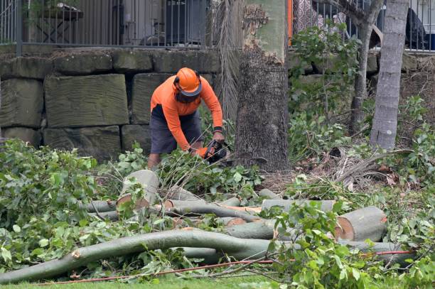 Best Tree Risk Assessment  in Maitland, FL