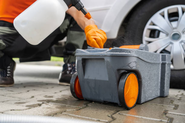 Best Arborist Consultation Services  in Maitland, FL